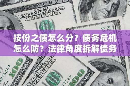 北京按份之债怎么分？债务危机怎么防？法律角度拆解债务分配与风险自保指南