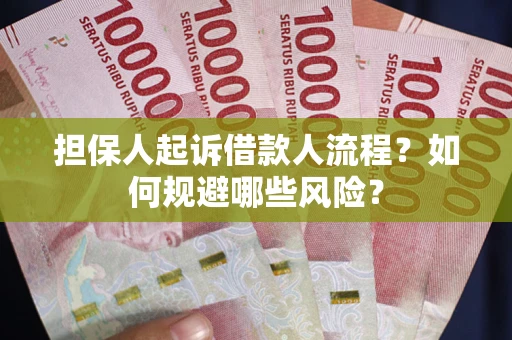 北京担保人起诉借款人流程？如何规避哪些风险？