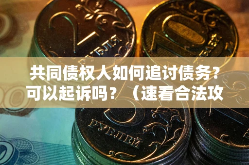 北京共同债权人如何追讨债务？可以起诉吗？（速看合法攻略）