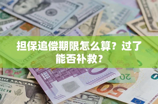 北京担保追偿期限怎么算？过了能否补救？